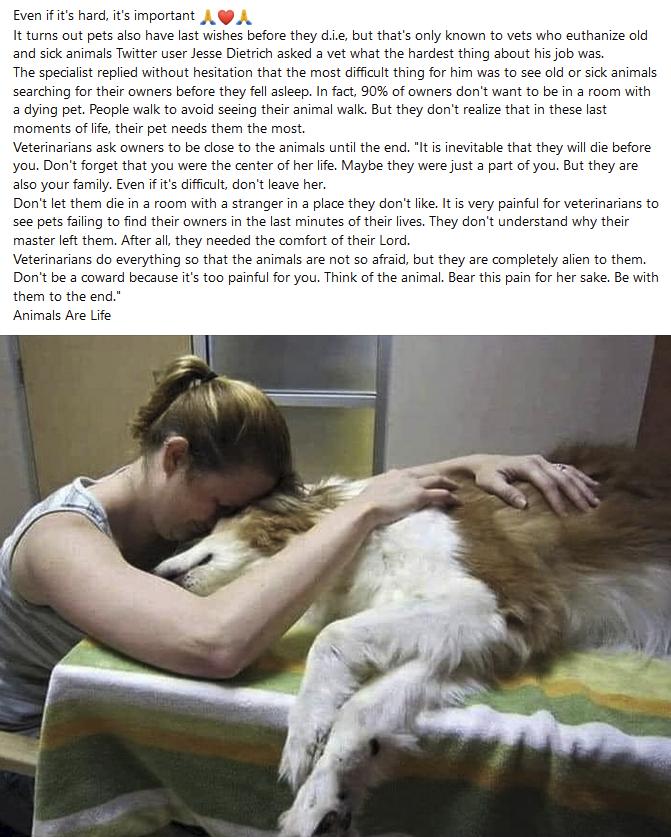 Even fits hardits important A pets 2l have st ishesbefore they die but thats nly known 1 vets w a it Tt e Jesee it ke ve what ne arcest The specat reled wihout hesiatn tht the ot il Pl walk 1o void sein thir anmal walkBut thy con reiae that n thse e imtsuntl o eIt il tht hey i G befre Per e Maybe they wee st 3 part o you Bt thy are o yourfamiEven 15 i Vetenarias do eveyihing 5o that te animalsare 