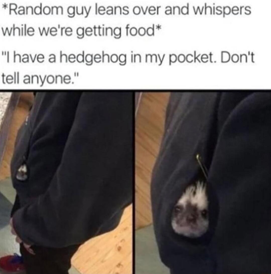 Random guy leans over and whispers while were getting food I have a hedgehog in my pocket Dont tell anyone
