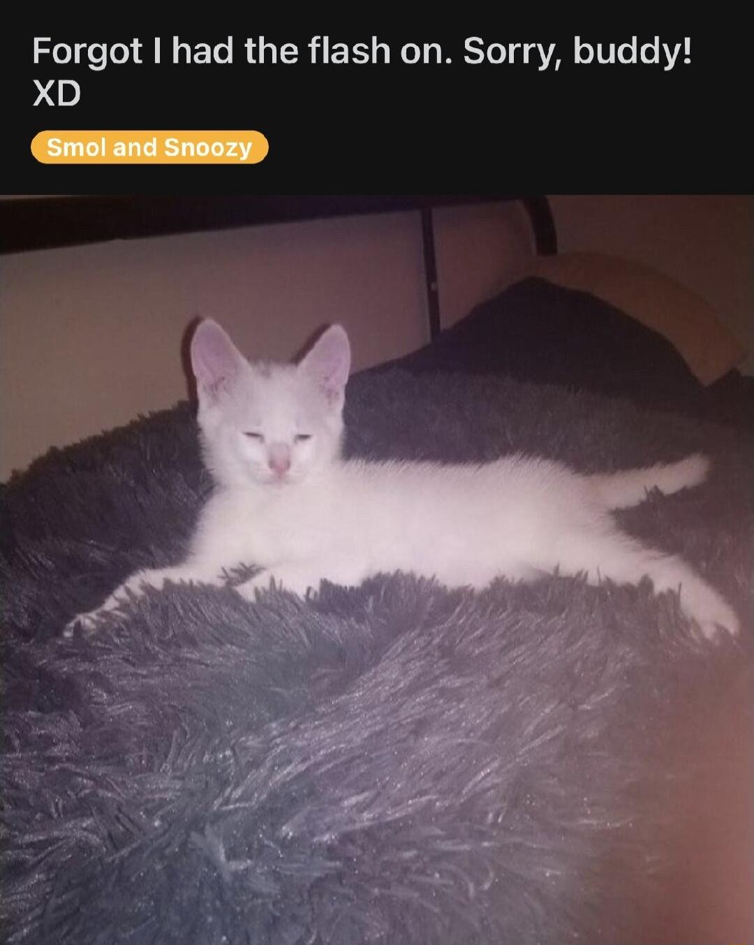 Forgot had the flash on Sorry buddy XD