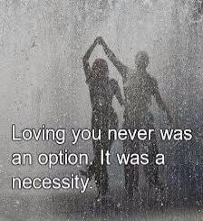 Loving you never was an option. It was a necessity.
