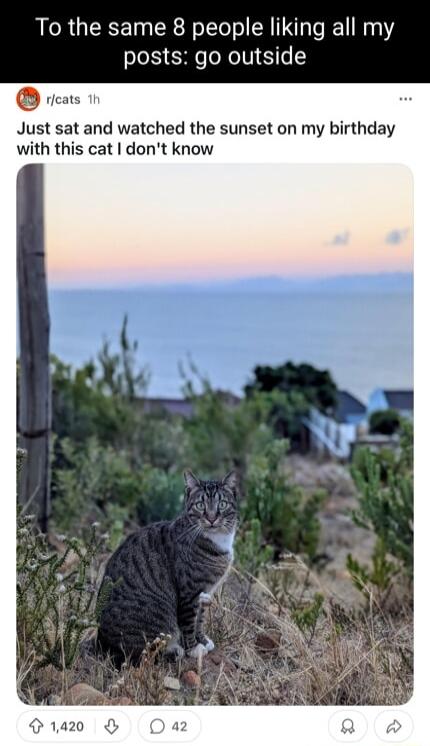 To the same 8 people liking all my posts go outside vcars Just sat and watched the sunset on my birthday with this cat dont know
