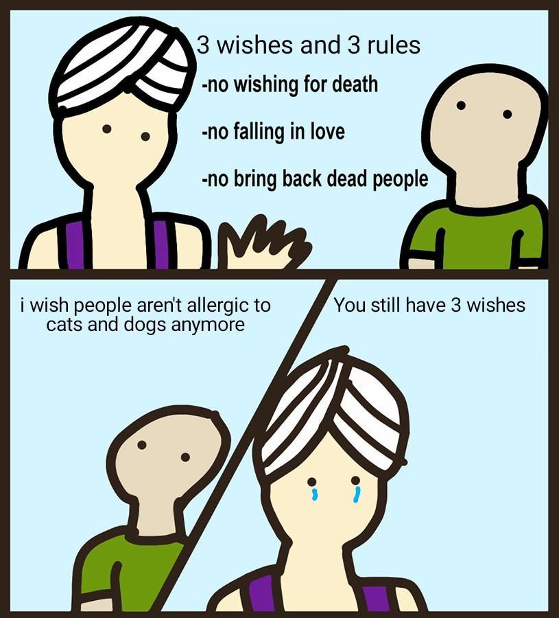 4 3 wishes and 3 rules Q no wishing for death no falling in love i wish people arent allergic to cats and dogs anymore
