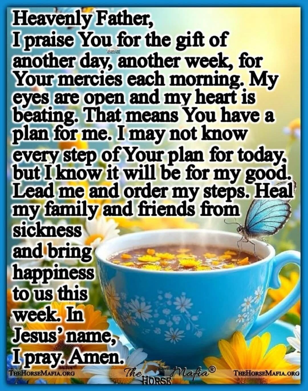 Heavenly Father, I praise You for the gift of another day, another week, for Your mercies each morning. My eyes are open and my heart is beating. That means You have a plan for me. I may not know every step of Your plan for today, but I know it will be for my good. Lead me and order my steps. Heal my family and friends from sickness and bring happi