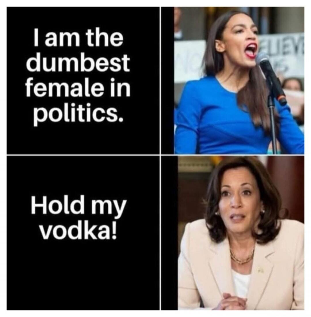 I am the dumbest female in politics. Hold my vodka!