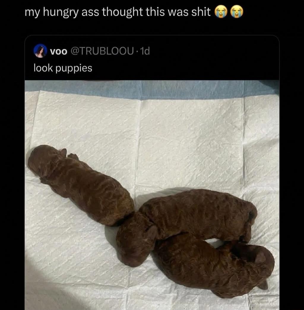 my hungry ass thought this was shit
look puppies