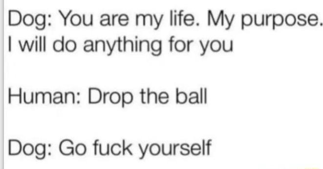 Dog You are my life My purpose will do anything for you Human Drop the ball Dog Go fuck yourself