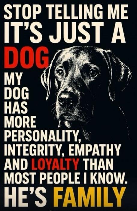STOP TELLING ME IT'S JUST A DOG MY DOG HAS MORE PERSONALITY, INTEGRITY, EMPATHY AND LOYALTY THAN MOST PEOPLE I KNOW. HE'S FAMILY