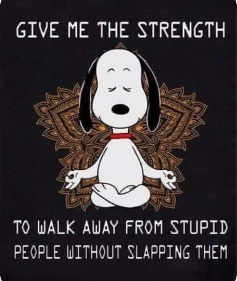 GIVE ME THE STRENGTH TO WALK AWAY FROM STUPID PEOPLE WITHOUT SLAPPING THEM