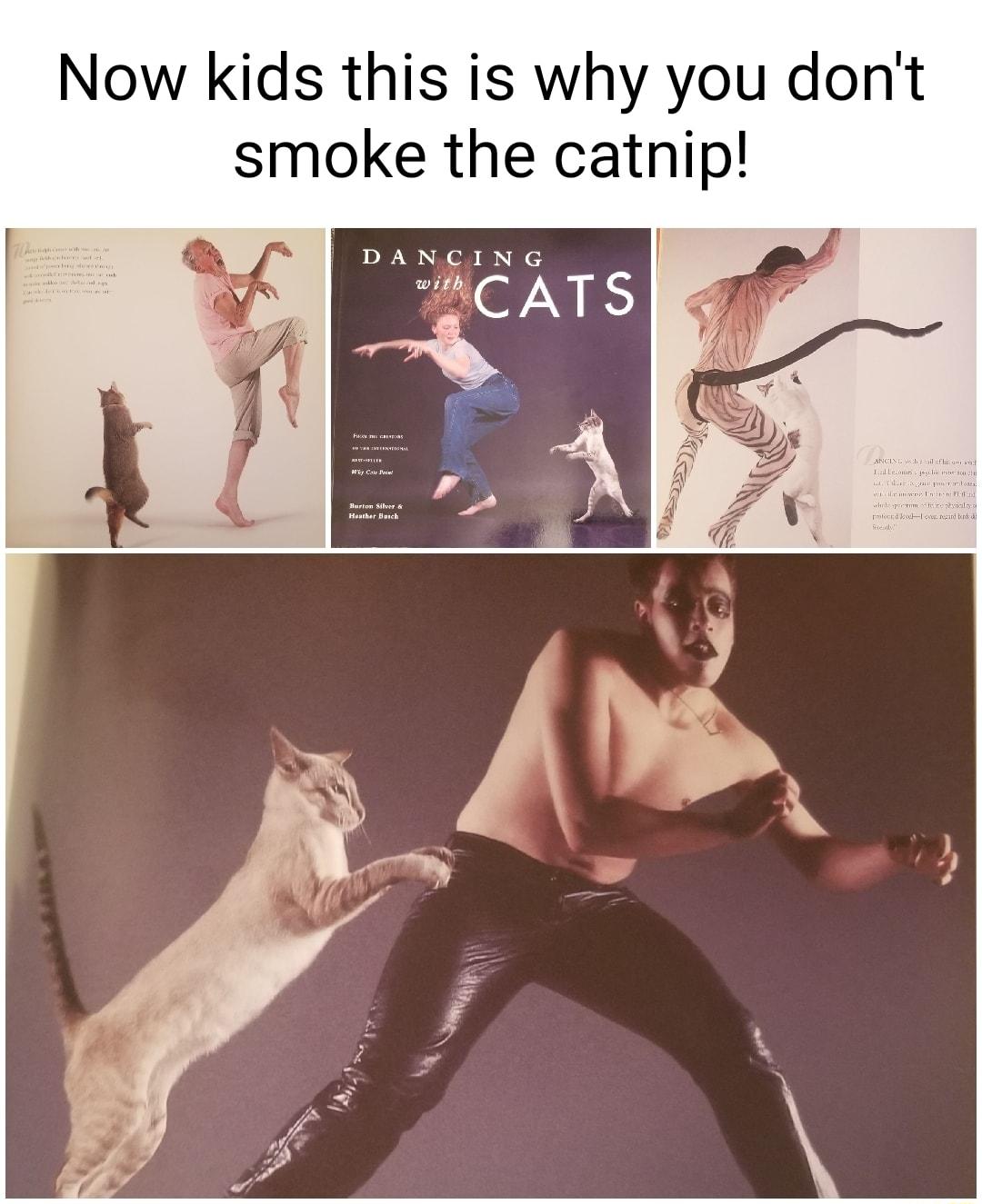 Now kids this is why you dont smoke the catnip