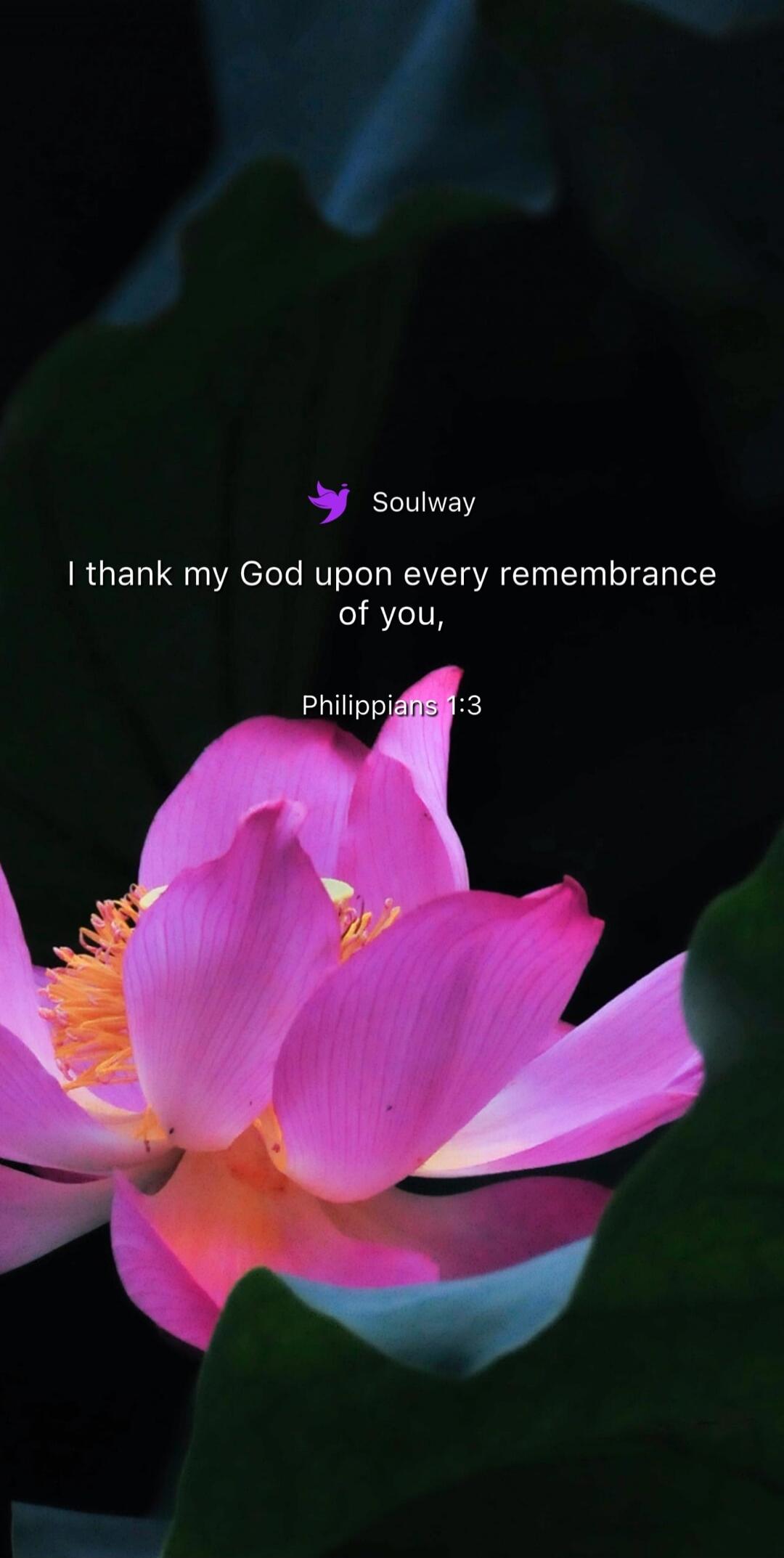 Soulway I thank my God upon every remembrance of you, Philippians 1:3