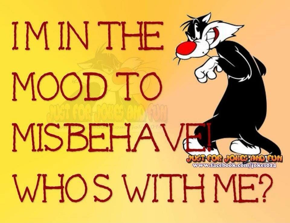 IM IN THE MOOD TO MISBEHAVE! WHOS WITH ME? JUST FOR JOKES AND FUN www.facebook.com/jokes014