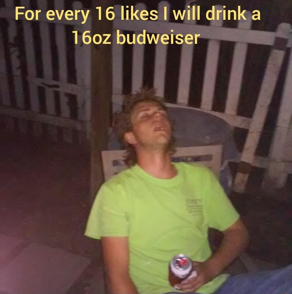 20T QUAVZEY VAR O 11 VG IV e TV 160z budweiser