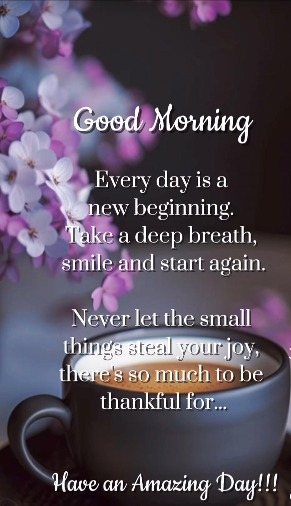 Good Morning. Every day is a new beginning. Take a deep breath, smile and start again. Never let the small things steal your joy, there's so much to be thankful for... Have an Amazing Day!!!