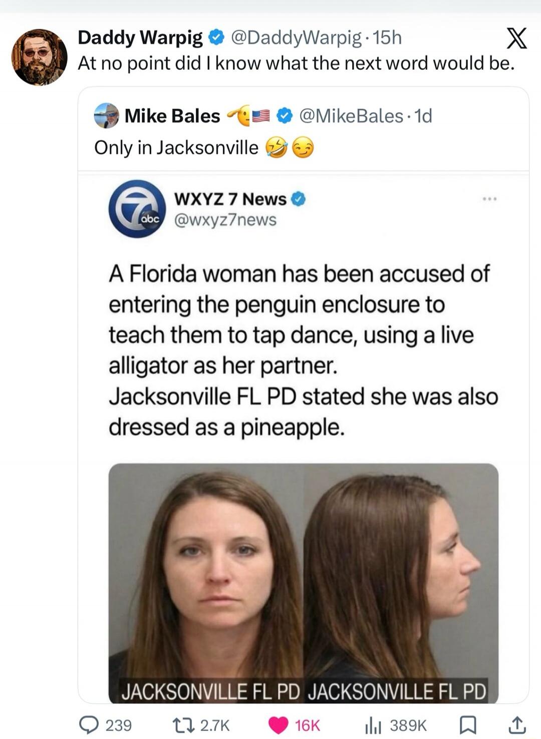 Daddy Warpig: At no point did I know what the next word would be. Mike Bales: Only in Jacksonville. WXYZ 7 News: A Florida woman has been accused of entering the penguin enclosure to teach them to tap dance, using a live alligator as her partner. Jacksonville FL PD stated she was also dressed as a pineapple. JACKSONVILLE FL PD.