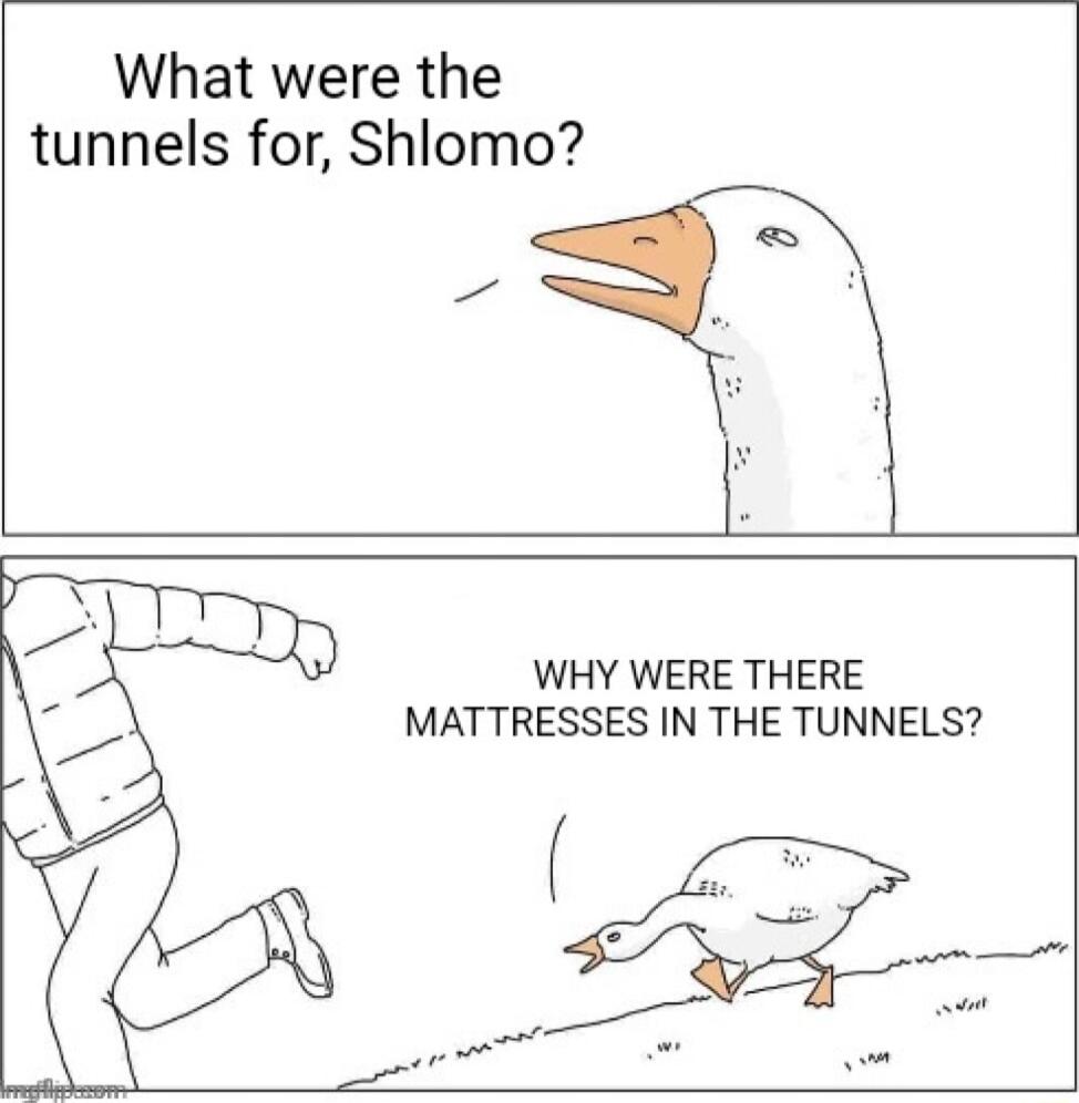 What were the tunnels for Shlomo WHY WERE THERE MATTRESSES IN THE TUNNELS