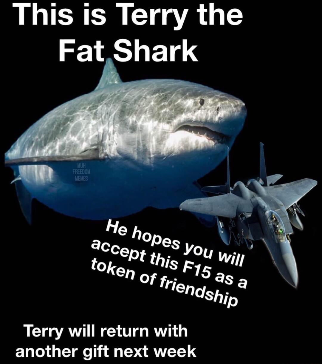 This is Terry the Fat Shark G AN TG RV another gift next week