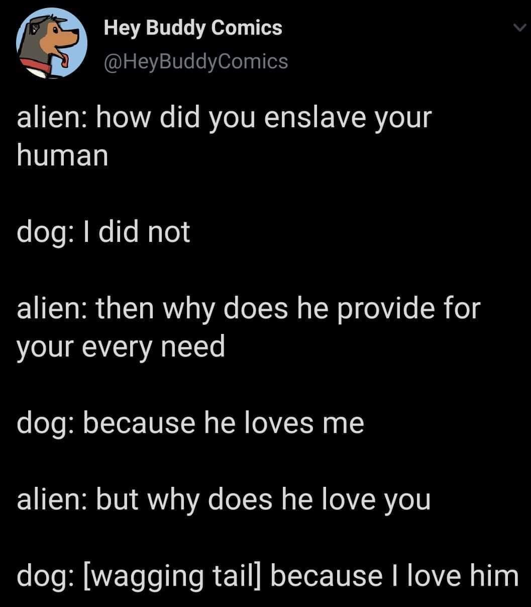 Hey Buddy Comics lg20eeepqllelS 4 alien how did you enslave your human dog did not alien then why does he provide for your every need o oTo jgl oLTor N ISI W g IR O VT g alien but why does he love you dog wagging tail because love him