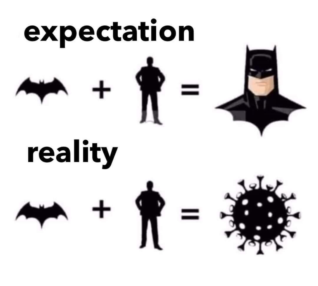 expectation TS reality