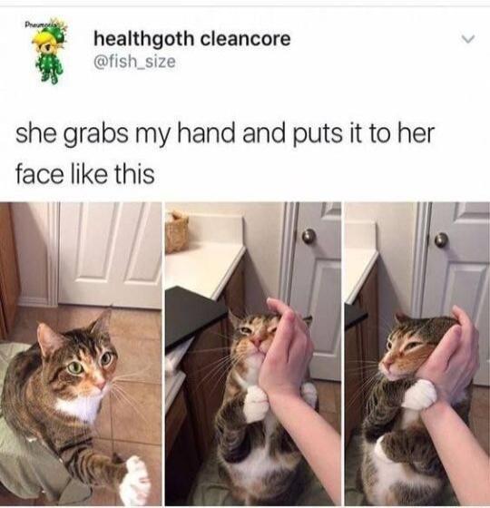healthgoth cleancore fish_size she grabs my hand and puts it to her face like this