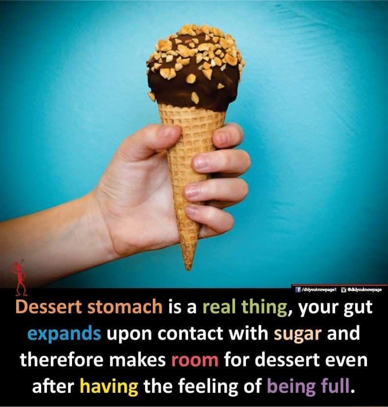 R fdmironpage 3 Odydnenpace Dessert stomach is a real thing your gut SSENTSERTTsTo y WeloTy 1o AV EYTF ETEETI L6 L TTEE o W ELCI o ToTanl o oo XY Tg FIVSY after having the feeling of being full