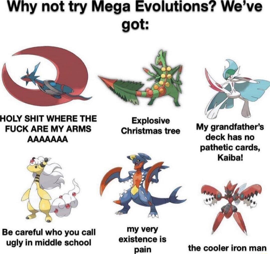 Why not try Mega Evolutions Weve got HOLY SHIT WHERE THE Explosive 4 FUCK ARE MY ARMS Christmas tree MY grandfathers AAAAAAA deck has no pathetic cards Kaiba R L 4 A o A b o2 d Be careful who you call my very ugly in middle school existence is pain the cooler iron man