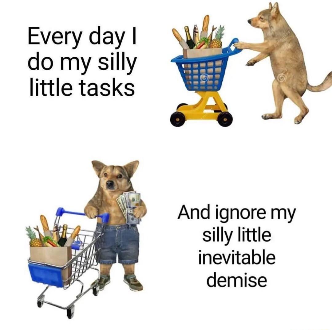 Every day do my silly little tasks And ignore my silly little inevitable demise