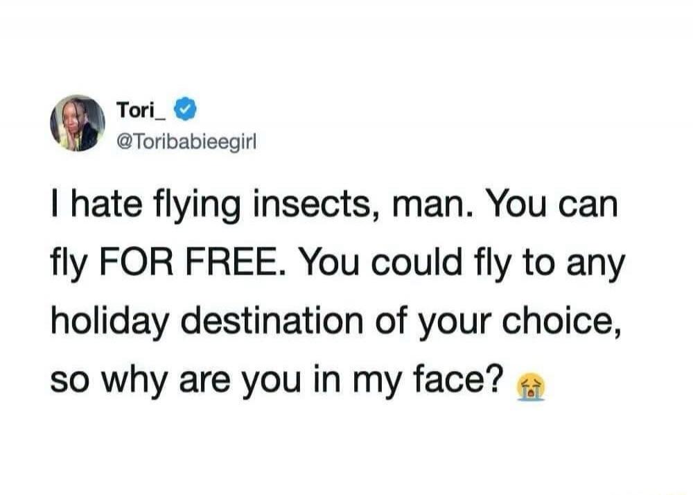 Tori_ @Toribabieegirl I hate flying insects, man. You can fly FOR FREE. You could fly to any holiday destination of your choice, so why are you in my face? 😭