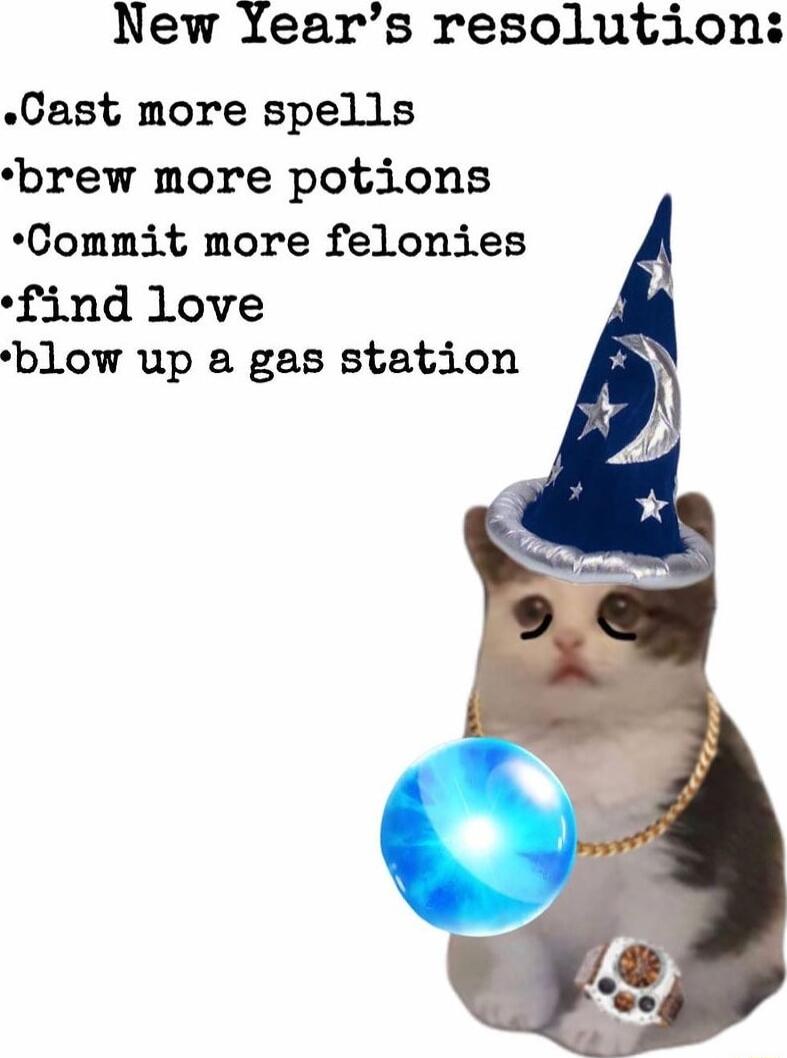 New Years resolution Cast more spells brew more potions Commit more felonies find love blow up a gas station