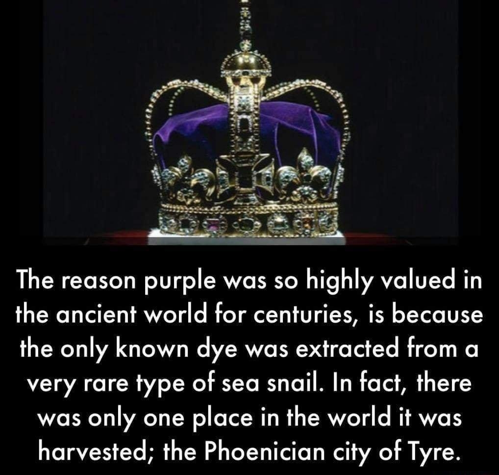 The reason purple was so highly valued in the ancient world for centuries is because the only known dye was extracted from a very rare type of sea snail In fact there was only one place in the world it was harvested the Phoenician city of Tyre