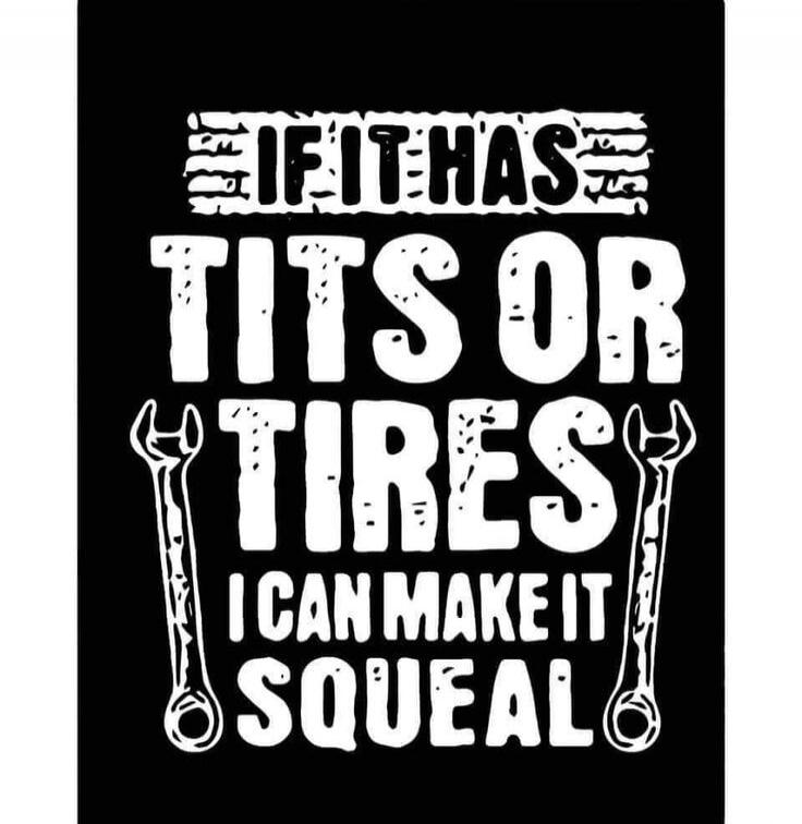 IF I HAS TITS OR TIRES I CAN MAKE IT SQUEAL