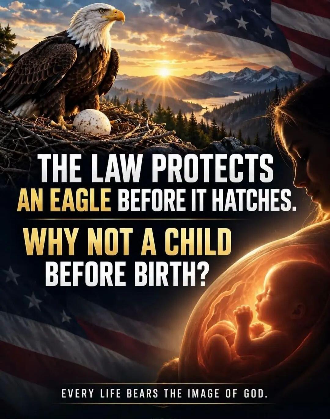 THE LAW PROTECTS AN EAGLE BEFORE IT HATCHES. WHY NOT A CHILD BEFORE BIRTH? EVERY LIFE BEARS THE IMAGE OF GOD.