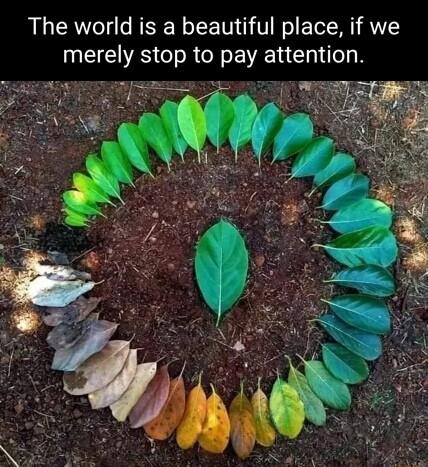 The world is a beautiful place if we merely stop to pay ERCHION