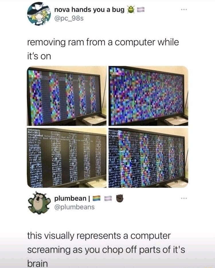 nova hands you a bug pc_98s removing ram from a computer while itson plumbean plumbeans this visually represents a computer screaming as you chop off parts of its brain