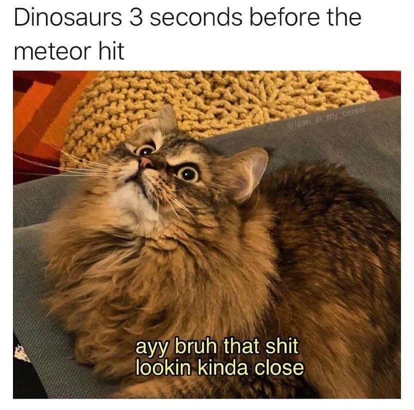 Dinosaurs 3 seconds before the meteor hit ayy bruhthat shit oYo NInMaeRe o1