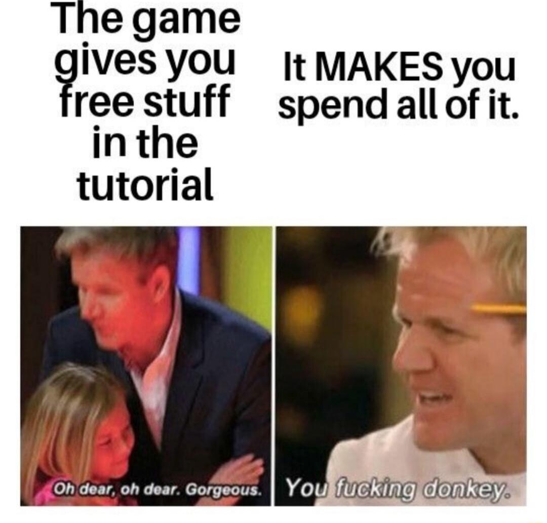 The game ves you t MAKES you ree stuff spendall of it inthe tutorial