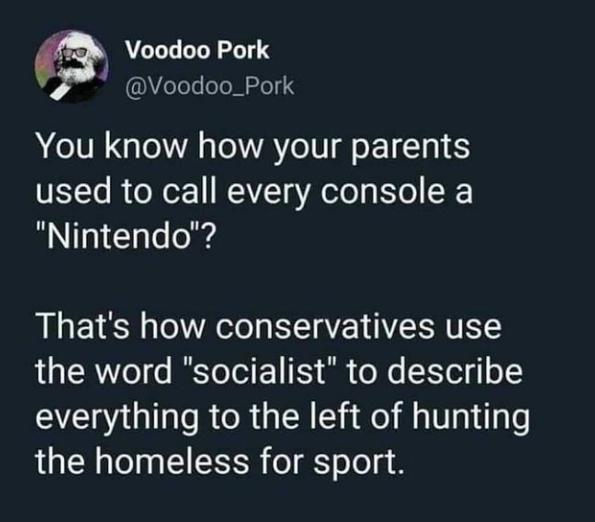 Voodoo Pork Velole eToMZlo3 You know how your parents VISTe R o Nor WA g A oTo K To T Nintendo Thats how conservatives use R o 0 IEYo Yol 1 il o X l o everything to the left of hunting the homeless for sport