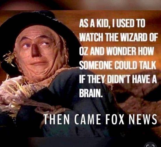 e ASAKIDIUSEDTO 45 WATCH THE WIZARD OF Rad 5 i V ecam T 4 FTHEVDIONT HAVEA T BRAIN THEN CAME FOX NEWS