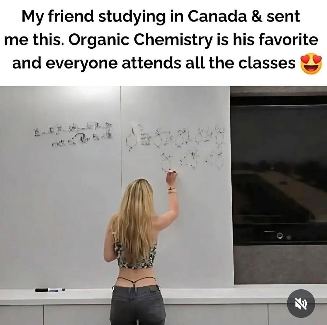 My friend studying in Canada & sent me this. Organic Chemistry is his favorite and everyone attends all the classes.