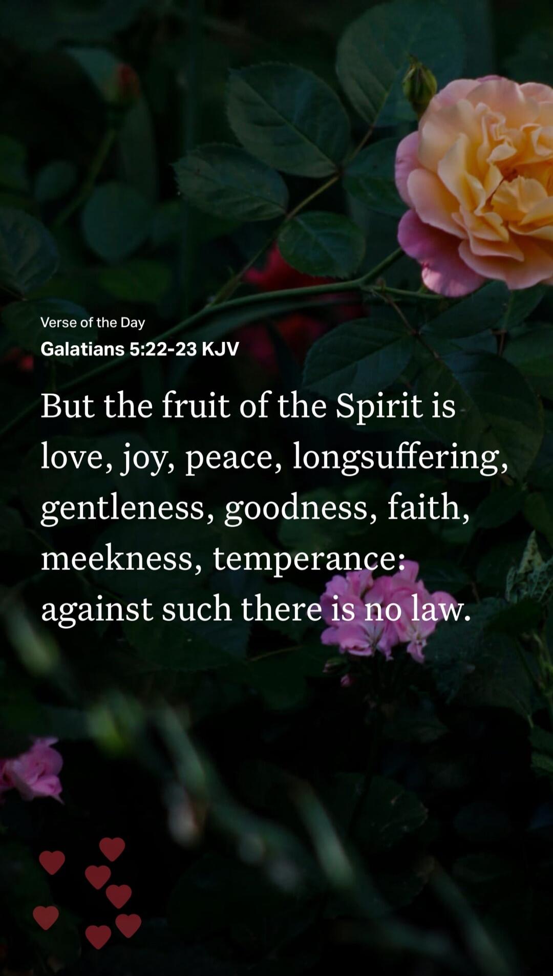 Verse of the Day Galatians 5:22-23 KJV But the fruit of the Spirit is love, joy, peace, longsuffering, gentleness, goodness, faith, meekness, temperance: against such there is no law.