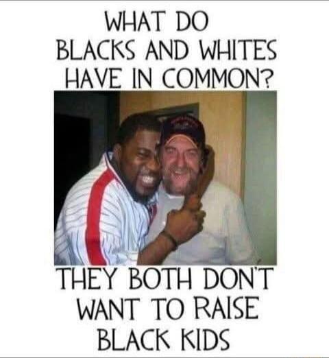 WHAT DO BLACKS AND WHITES HAVE IN COMMON P THEY BOTH DONT WANT TO RAISE BLACK KIDS