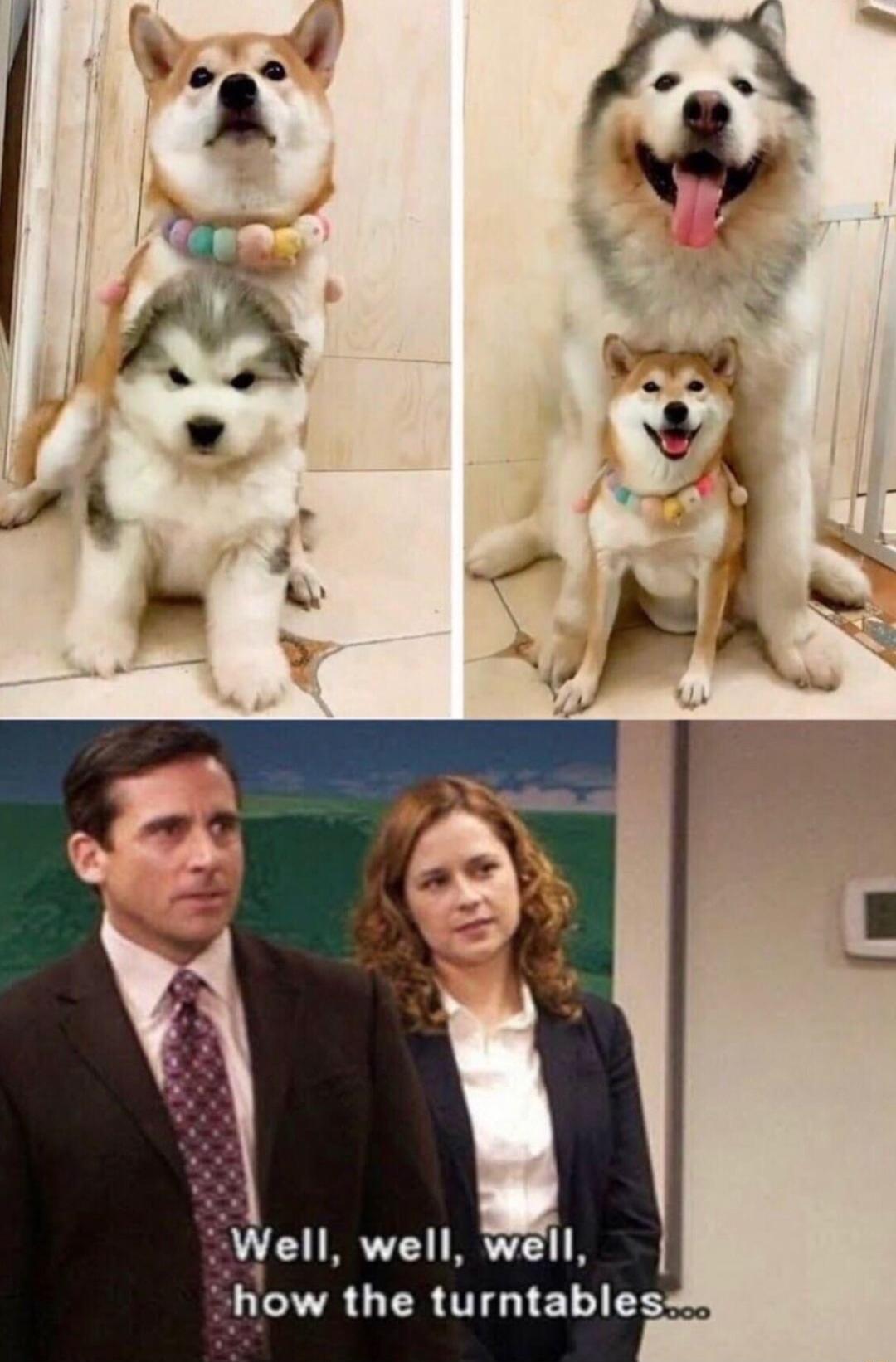 VVell well well how the turntables