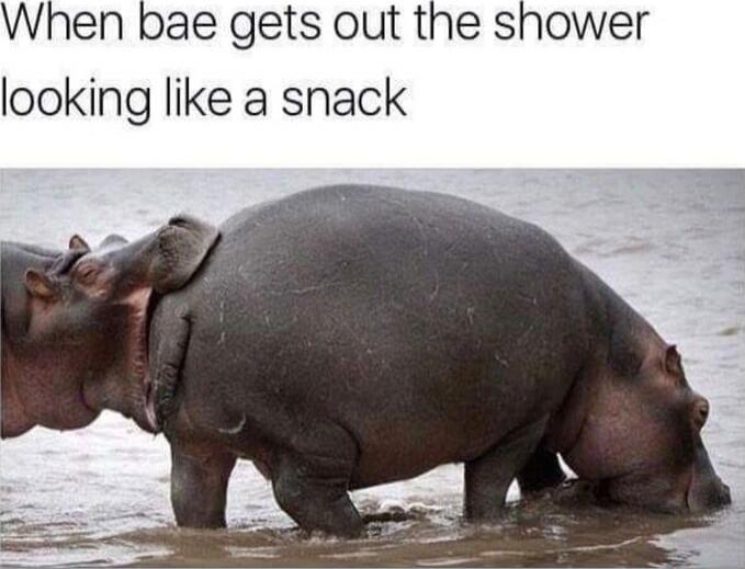 When bae gets out the shower looking like a snack