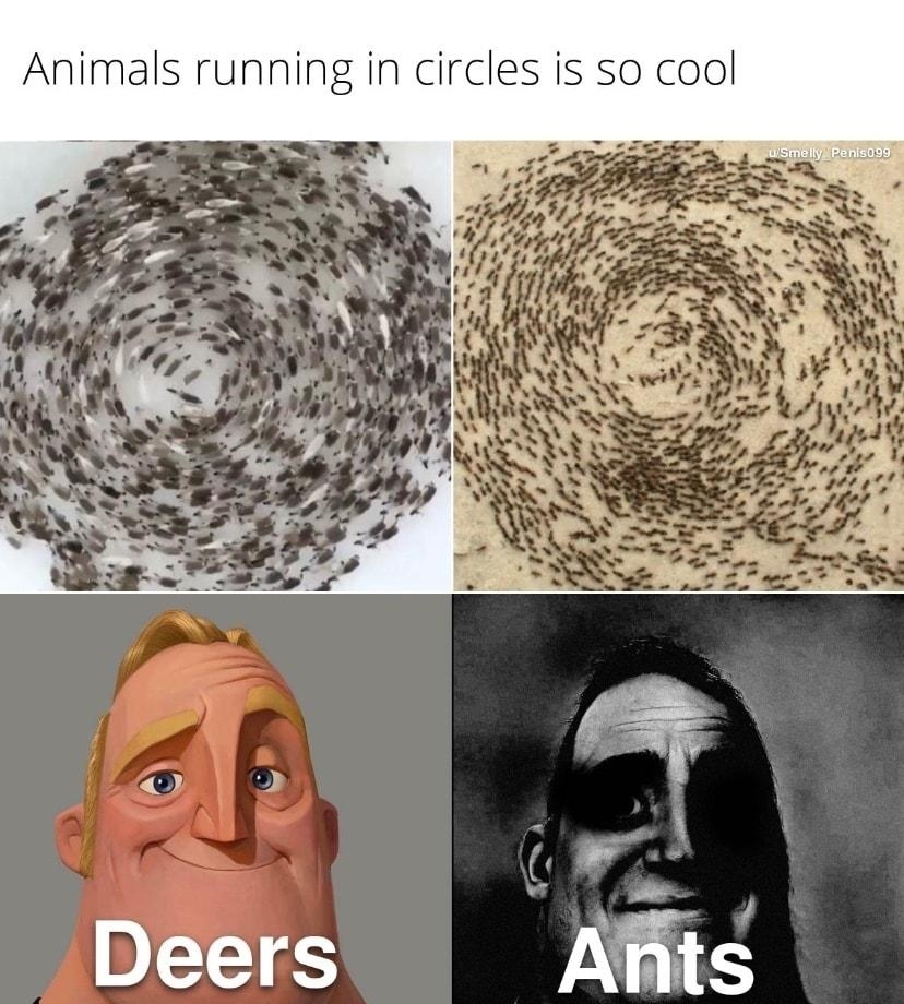 Animals running in circles is so cool Deers ARt made with mematic