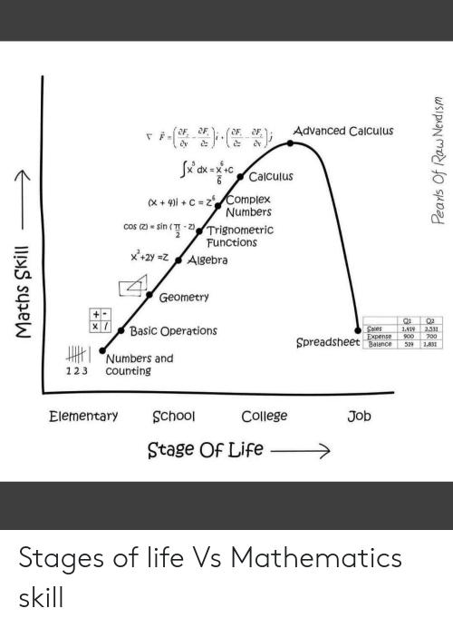 E I Advanced Calcuus 3 3 5 S A cossn 2 Trignomesric Funceions A 2 5 2 la Basic Operations o Spreadsheet L5 5 1 JH Numbers an 123 counting Elementary chool College Job Stage Of Life Stages of life Vs Mathematics skill
