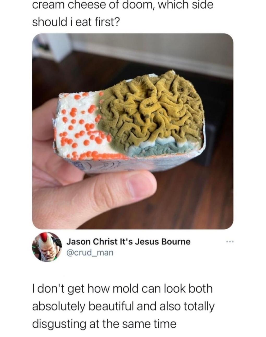 Ccream cheese of aoom which side should i eat first A Jason Christ Its Jesus Bourne X crud_man dont get how mold can look both absolutely beautiful and also totally disgusting at the same time