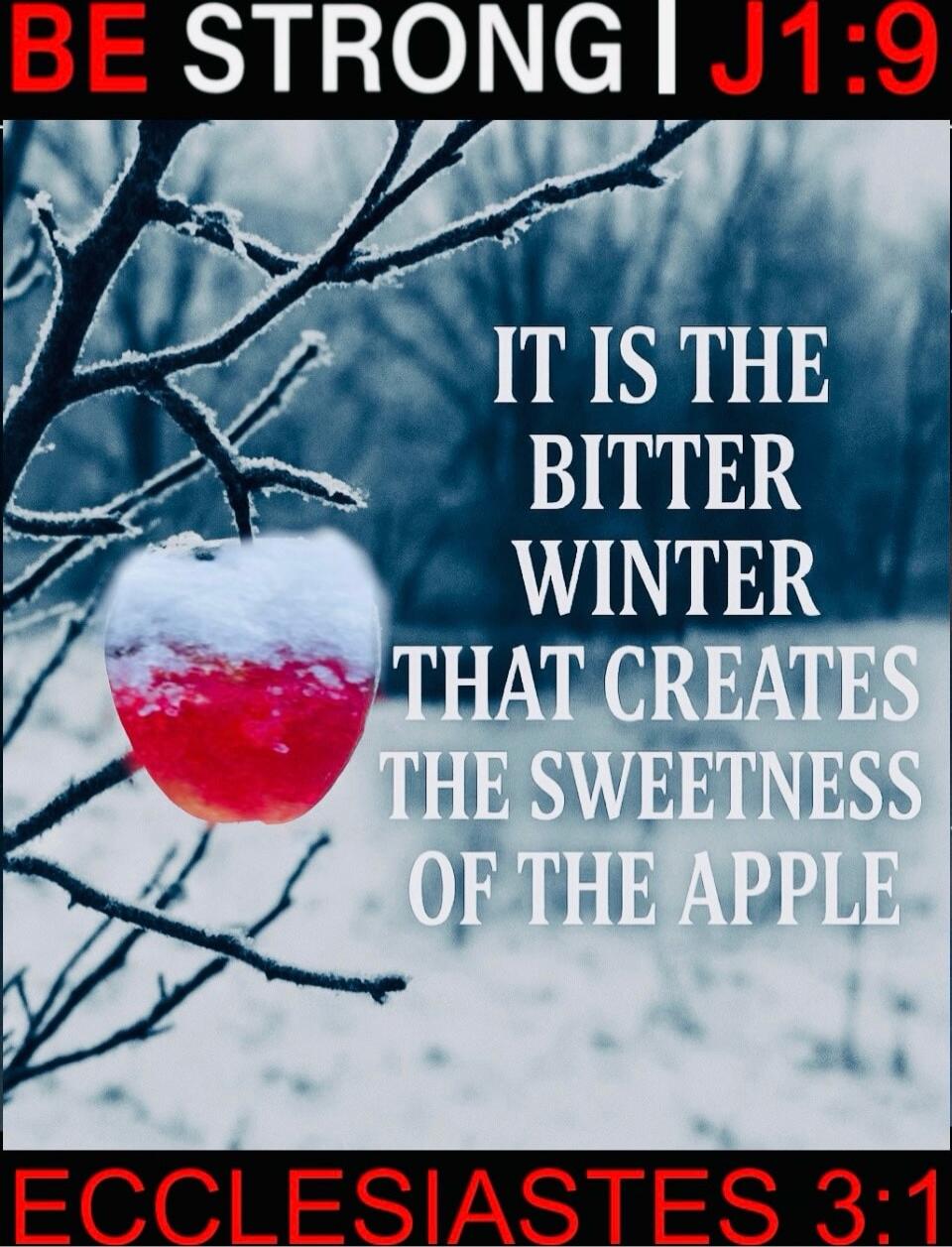 BE STRONG | J1:9
IT IS THE BITTER WINTER THAT CREATES THE SWEETNESS OF THE APPLE
ECCLESIASTES 3:1