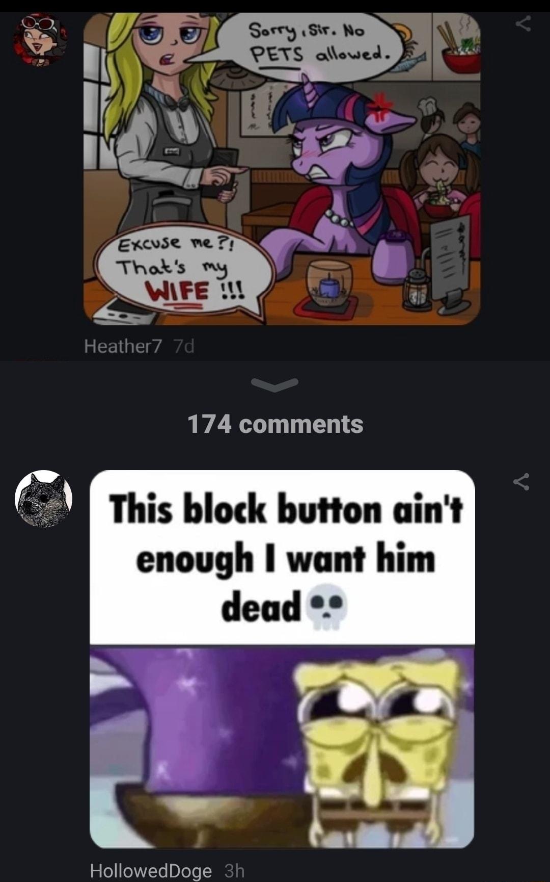 SO 1 s A D I e AN WL N Excvse me 7y Thoks y _ VAFE T 174 comments This block button aint enough want him dead HollowedDoge