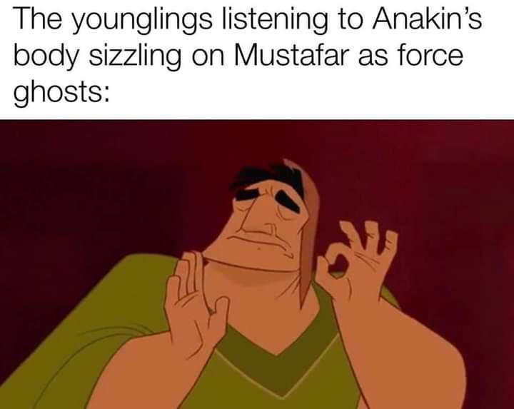 The younglings listening to Anakins body sizzling on Mustafar as force ghosts