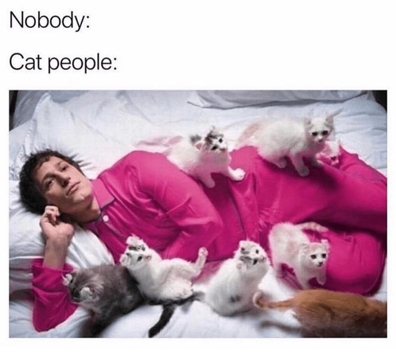 Nobody Cat people