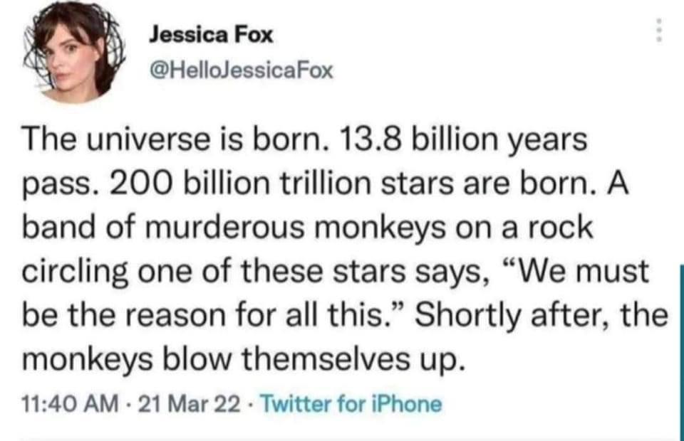 Jessica Fox HelloJessicaFox The universe is born 138 billion years pass 200 billion trillion stars are born A band of murderous monkeys on a rock circling one of these stars says We must be the reason for all this Shortly after the monkeys blow themselves up 1140 AM 21 Mar 22 Twitter for iPhone
